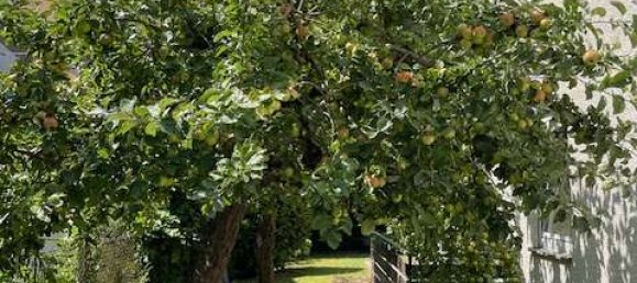 Moradia em banda T5 em Ludwigsburg, Germany N.º 238527 7