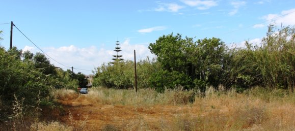 Земельный участок 1538м² в Платаньяс, Ханья, Крит, Греция № 95242 3