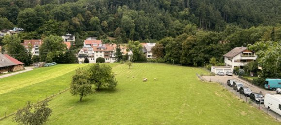 1 غرف نوم شقة في Freiburg im Breisgau, Germany رقم 338740 18