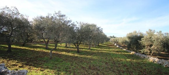 Terreno en Martina Franca, Italy 13000 m² No. 295934 3