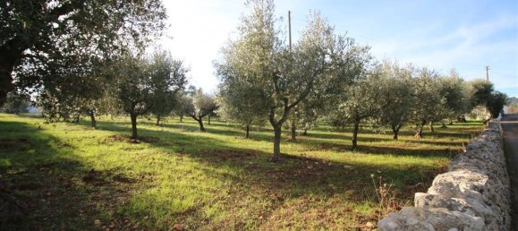Terreno en Martina Franca, Italy 13000 m² No. 295934 7