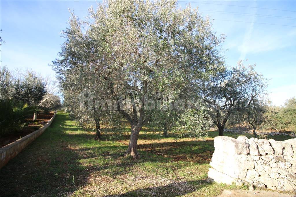 Terreno en Martina Franca, Italy 13000 m² No. 295934
