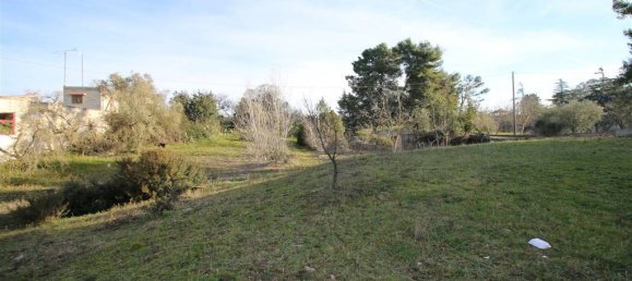 Terreno en Martina Franca, Italy 13000 m² No. 295934 9