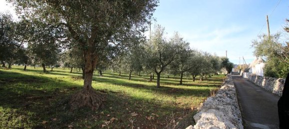 Terreno en Martina Franca, Italy 13000 m² No. 295934 6