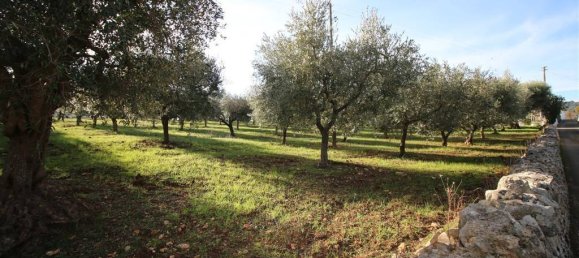 Terreno en Martina Franca, Italy 13000 m² No. 295934 4