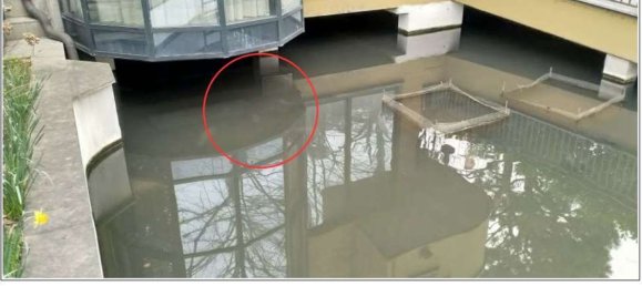 Здание 494м² в Черро Маджоре, Италия № 186242 20