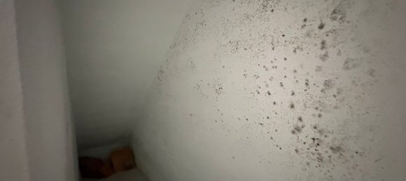 2 غرف نوم منزل في Mojacar, Spain رقم 158604 25