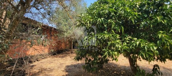 3 Schlafzimmer Haus in Santo Andre das Tojeiras, Portugal, Nr. 296753 11