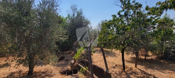 3 Schlafzimmer Haus in Santo Andre das Tojeiras, Portugal, Nr. 296753 10