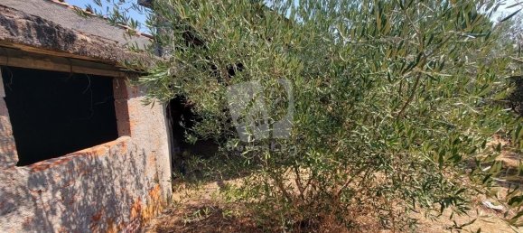 3 Schlafzimmer Haus in Santo Andre das Tojeiras, Portugal, Nr. 296753 7