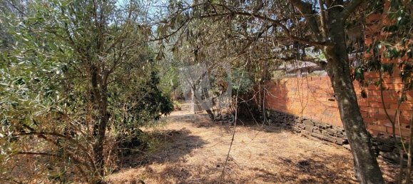 3 Schlafzimmer Haus in Santo Andre das Tojeiras, Portugal, Nr. 296753 12