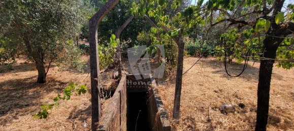 3 Schlafzimmer Haus in Santo Andre das Tojeiras, Portugal, Nr. 296753 21