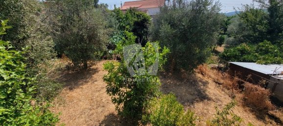 3 Schlafzimmer Haus in Santo Andre das Tojeiras, Portugal, Nr. 296753 42