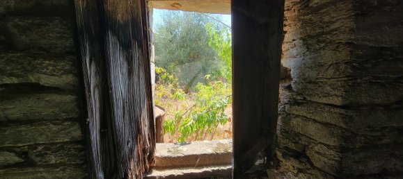 3 Schlafzimmer Haus in Santo Andre das Tojeiras, Portugal, Nr. 296753 18