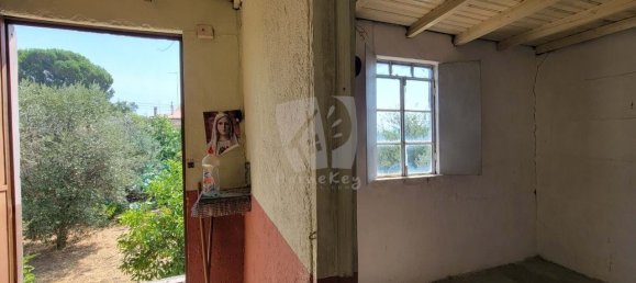 3 Schlafzimmer Haus in Santo Andre das Tojeiras, Portugal, Nr. 296753 38