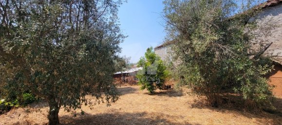 3 Schlafzimmer Haus in Santo Andre das Tojeiras, Portugal, Nr. 296753 14