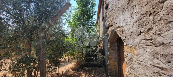 3 Schlafzimmer Haus in Santo Andre das Tojeiras, Portugal, Nr. 296753 19