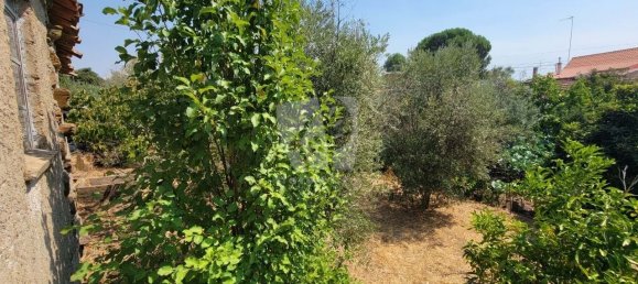 3 Schlafzimmer Haus in Santo Andre das Tojeiras, Portugal, Nr. 296753 41