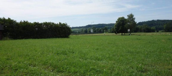  Land in Sinabelkirchen, Austria No. 135550 2
