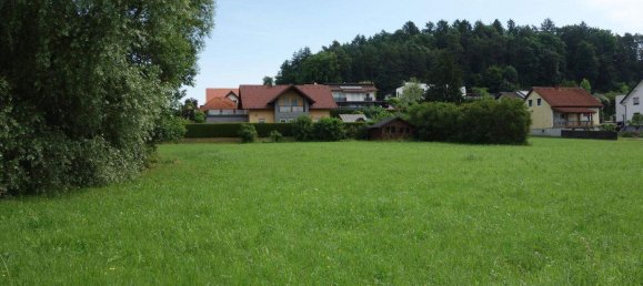  Land in Sinabelkirchen, Austria No. 135550 4
