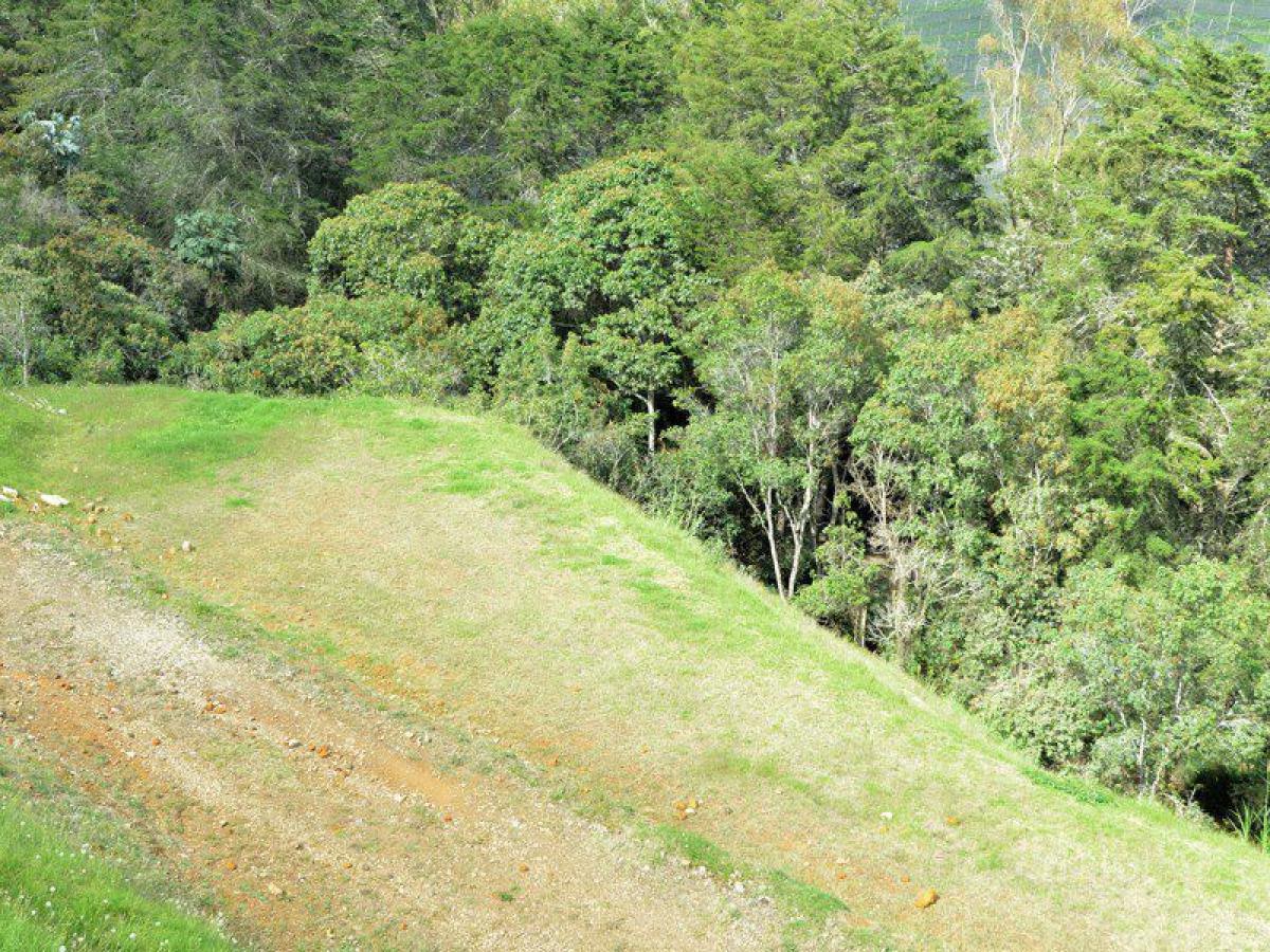 Grundstück in Antioquia, Colombia, Nr. 689