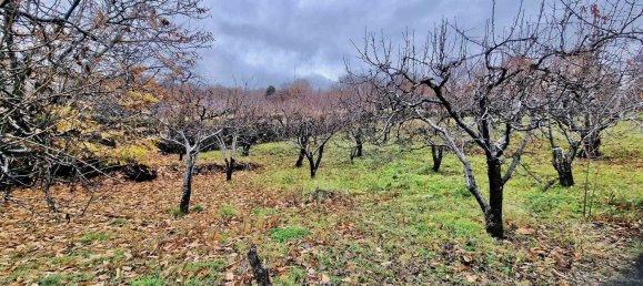 32m² Land in Ragalna, Italy No. 292485 29