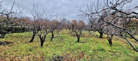 32m² Land in Ragalna, Italy No. 292485 30