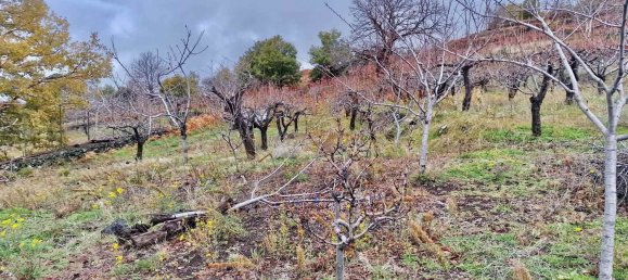 32m² Land in Ragalna, Italy No. 292485 10