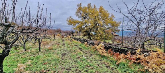 32m² Land in Ragalna, Italy No. 292485 5