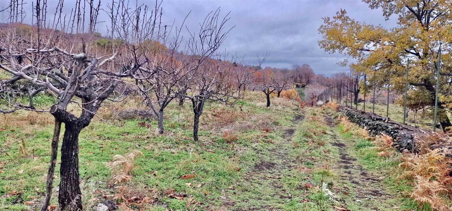 32m² Land in Ragalna, Italy No. 292485