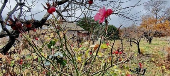 32m² Land in Ragalna, Italy No. 292485 24