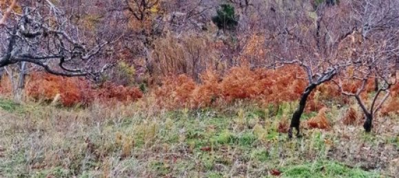 32m² Land in Ragalna, Italy No. 292485 7