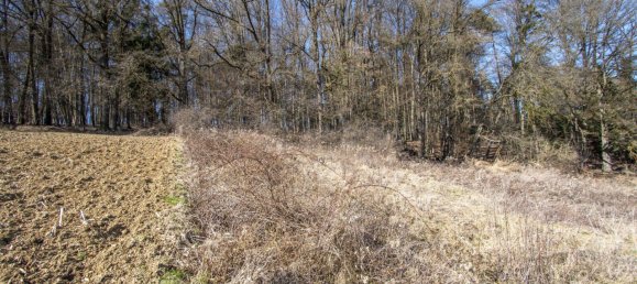  قطعة أرض في Leibnitz, Austria رقم 126940 5