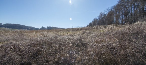  قطعة أرض في Leibnitz, Austria رقم 126940 10