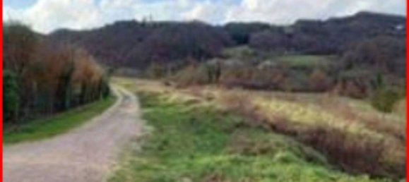 8291m² Land in Apecchio, Italy No. 294338 7