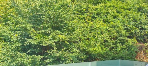 4غرفة منزل ذو طابقين في Kaltenleutgeben, Austria رقم 246163 12