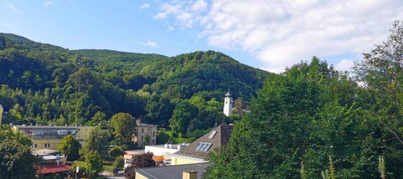 4غرفة منزل ذو طابقين في Kaltenleutgeben, Austria رقم 246163 3