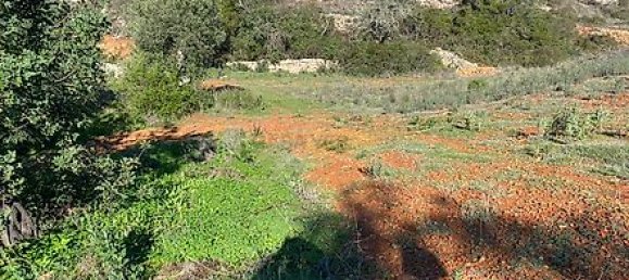 Land in Faro, Portugal No. 40512 15