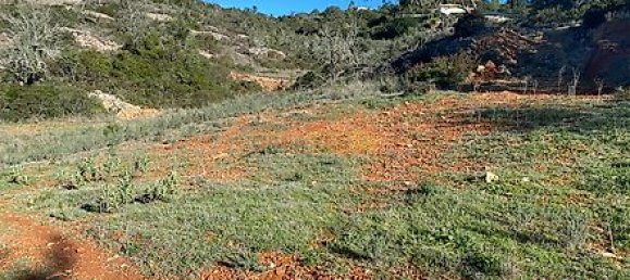 Land in Faro, Portugal No. 40512 16