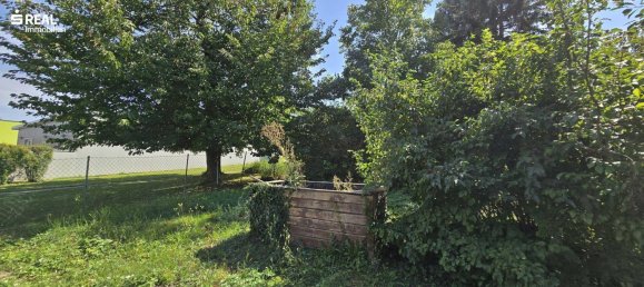 Дом с 3 комнатами в Холлабрунн, Австрия № 247710 37