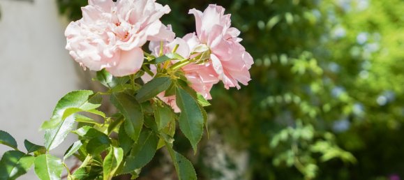 3 bedrooms Villa in Alicante, Spain No. 178295 38