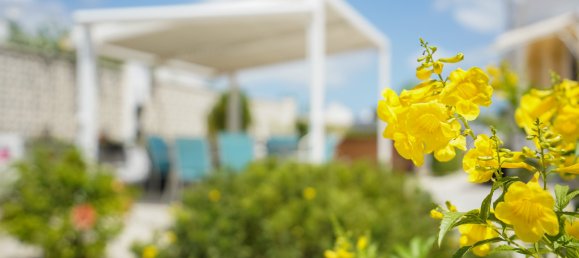 3 bedrooms Villa in Alicante, Spain No. 178295 41