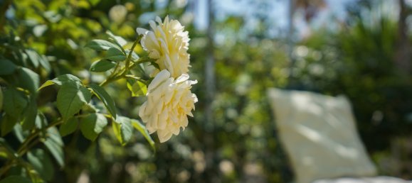 3 bedrooms Villa in Alicante, Spain No. 178295 36