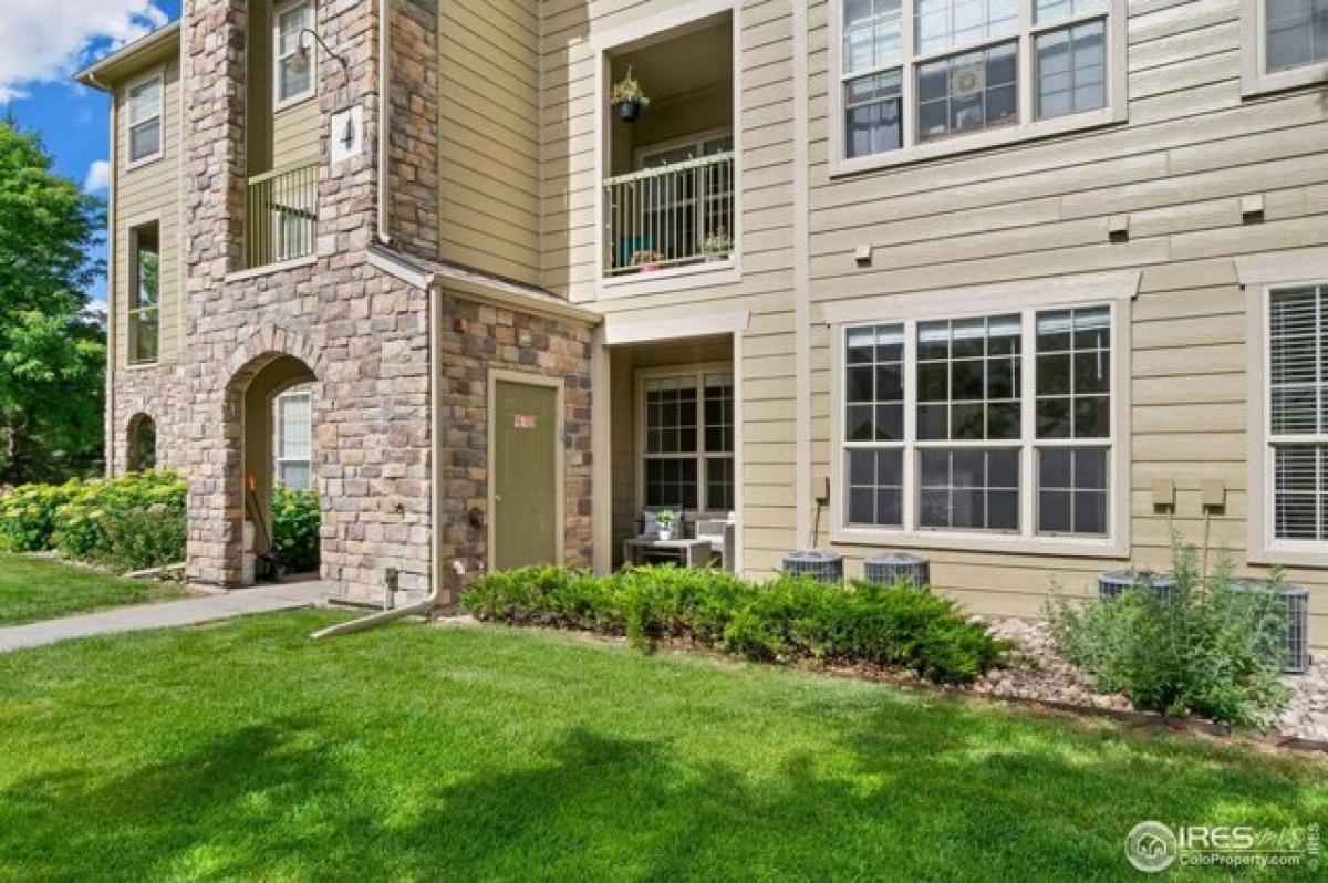 Studio in Fort Collins, USA, Nr. 374921