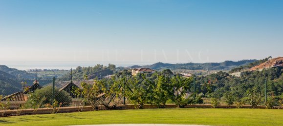 5 bedrooms Villa in Malaga, Spain No. 98636 32