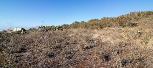 9807m² Land in El Rosario, Spain No. 69359 2