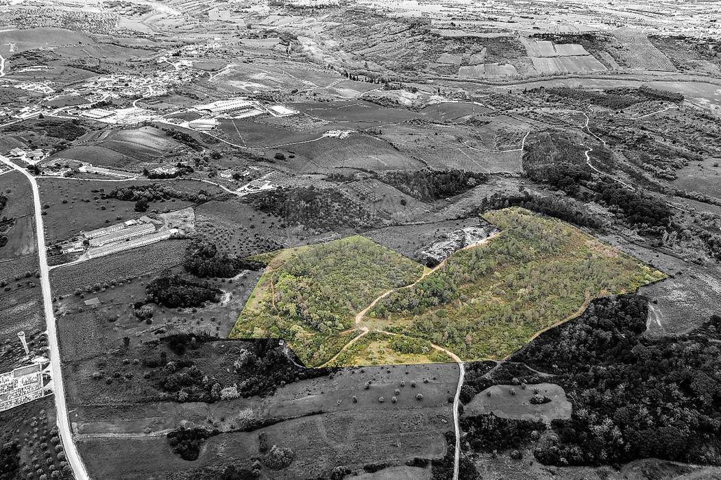 Земельный участок 115960м² в Риу Майор, Португалия № 214344