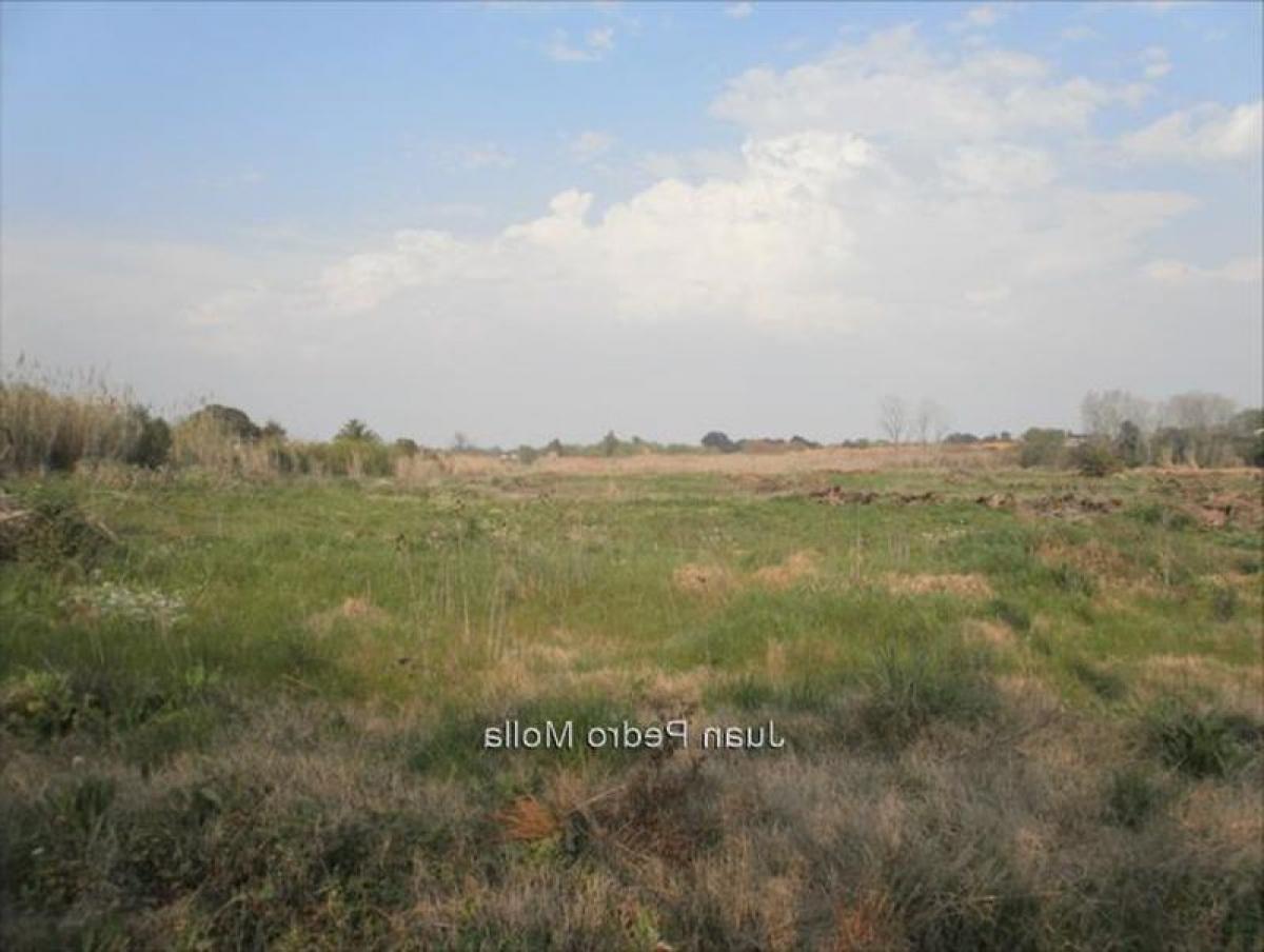  Land in Canelones, Uruguay No. 14992