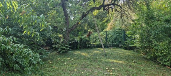 6 rooms House in Hollabrunn, Austria No. 125400 30