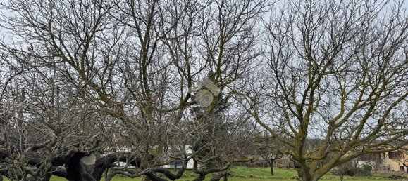 Villa de 3 divisões em Ostuni, Italy N.º 234886 9